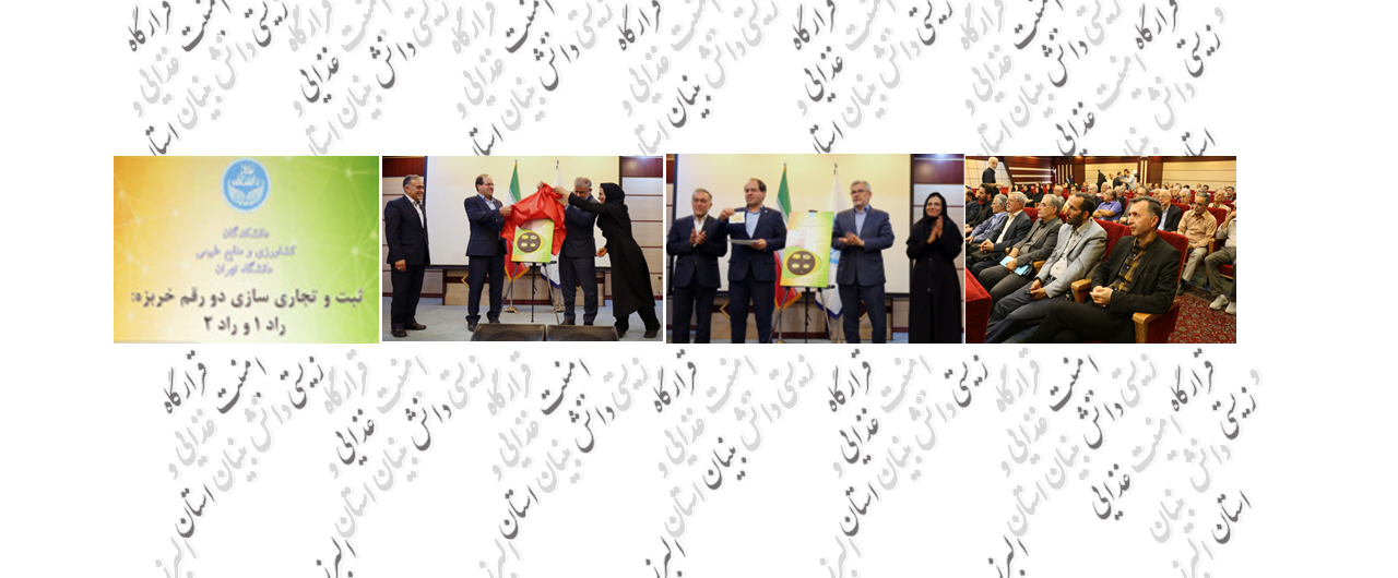 رونمایی از دستاورد پژوهشی تولید محصول کشاورزی دانش بنیان در امنیت غذایی